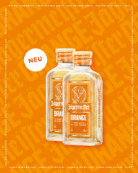 Jaegermeister_Orange_SocialMedia_Beitrag_2cl_Mit_Freiflaeche.jpg